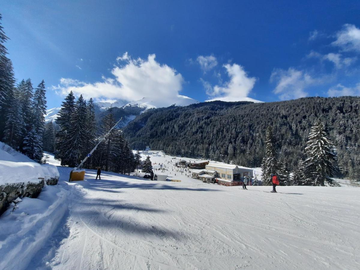 Apartment In Aspen Golf Bansko Eksteriør billede